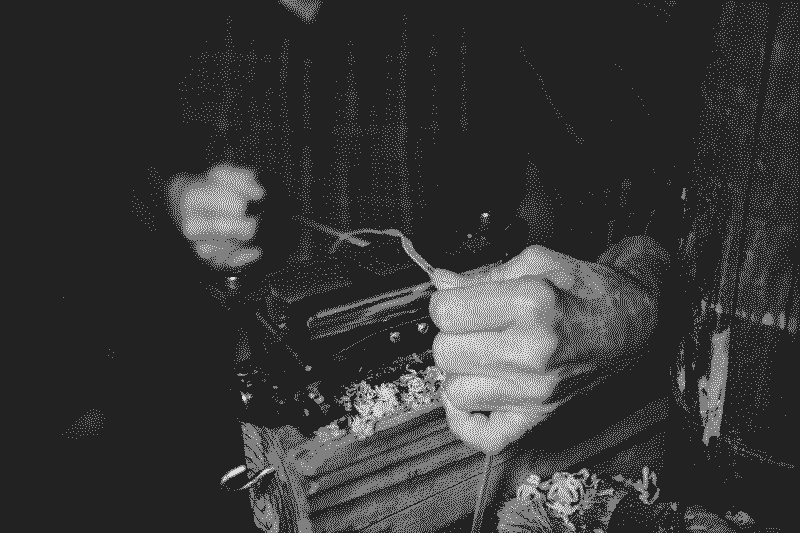 Foto von Carter Yocham auf Unsplash (mit Dithering bearbeitet)